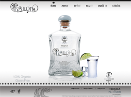 Baron Tequila website design by dzine it