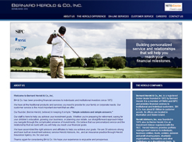 Bernard Herold & Co., Inc. website design by dzine it