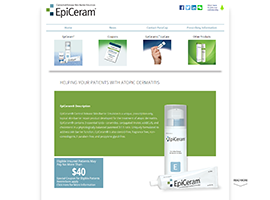 EpiCeram® website design by dzine it
